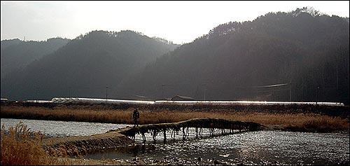 주천은 섶다리가 있어 겨울에 가야 제 맛이 난다 